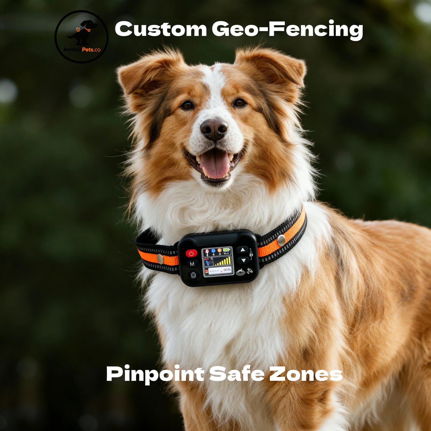 Professional Dog Training Kit: GPS Electronic Fence - USB Rechargeable & Adjustable & IPX6 Waterproof & Stable Signal Source & 6561 ft Adjustable Boundary
