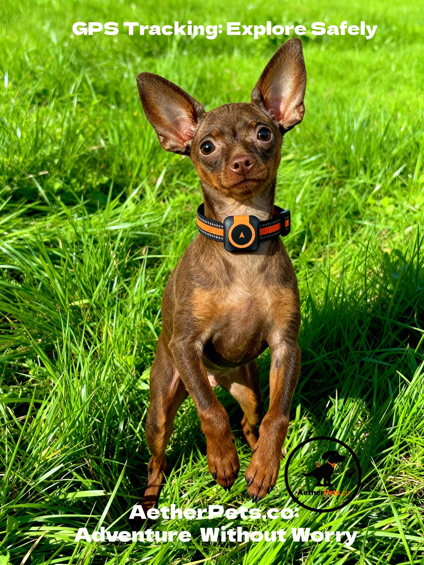 All-in-One GPS Pet Tracker: GPS AGPS LBS Positioning + Health Monitor + Geo-fence - For Dogs & Cats