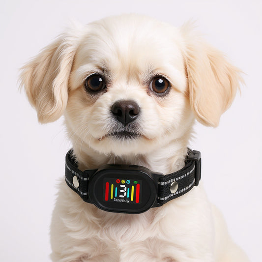 Stop Dog Barking Now! Color Display Rechargeable Anti-Bark Collar - AI-Powered Detection, Zero False Triggers, Anti-Mistouch Bark Collar, IP67 Waterproof Dog Training Collar